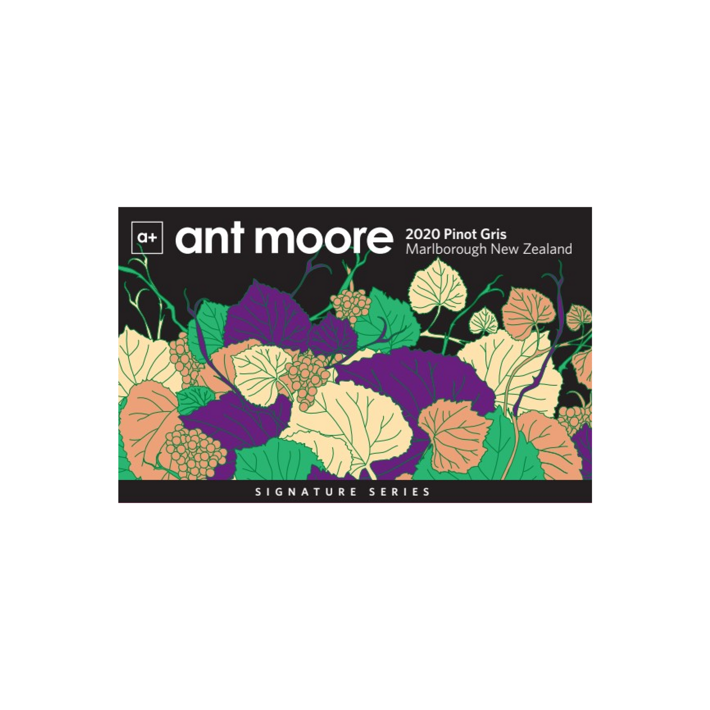 2020 Ant Moore Signature Pinot Gris